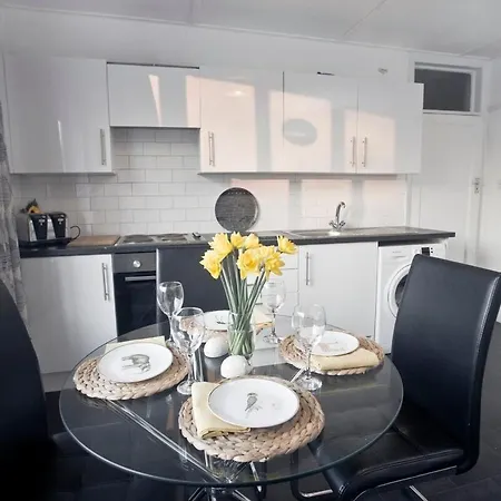 October Disc - Long - Contractors ブリストル