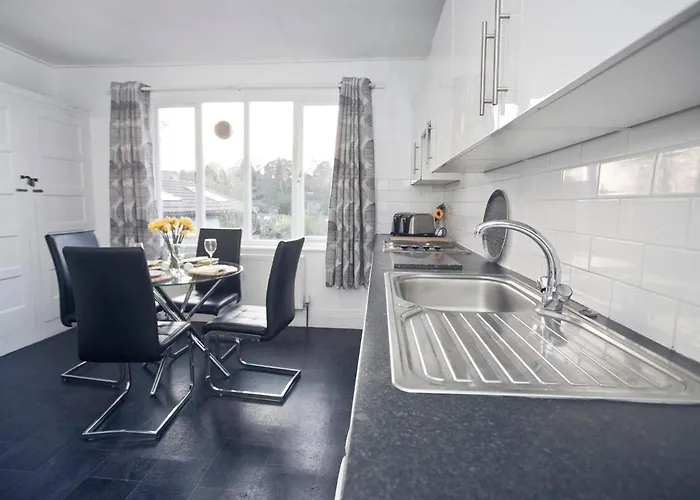 October Disc - Long - Contractors