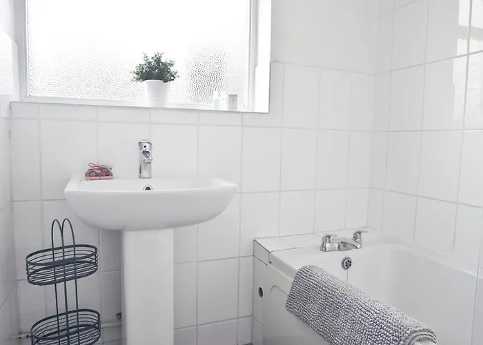 Apartamento October Disc - Long - Contractors *